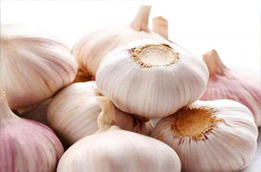 大蒜2.jpg